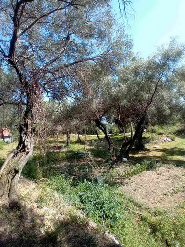viber_slika_2023-08-07_18-03-40-502-manja-0.jpg